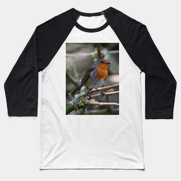 Robin Red Baseball T-Shirt by declancarr